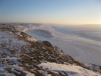 Coyote Hunting Wind Myths | Long Range Hunting Forum