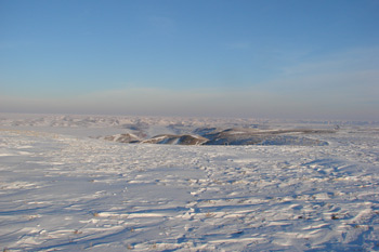 Coyote Hunting Wind Myths | Long Range Hunting Forum