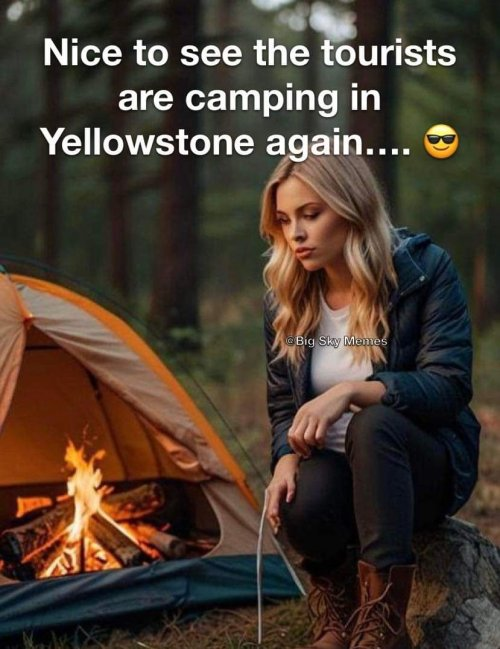 1727754611012 camping.png