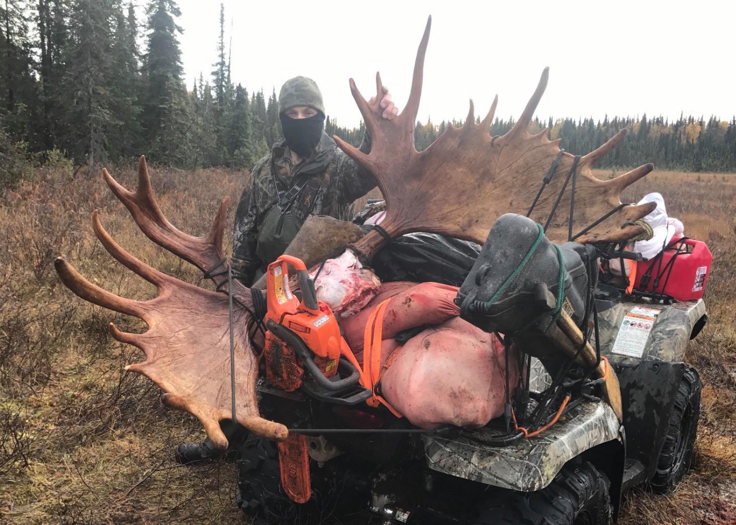 2017 bull moose - Copy.jpg