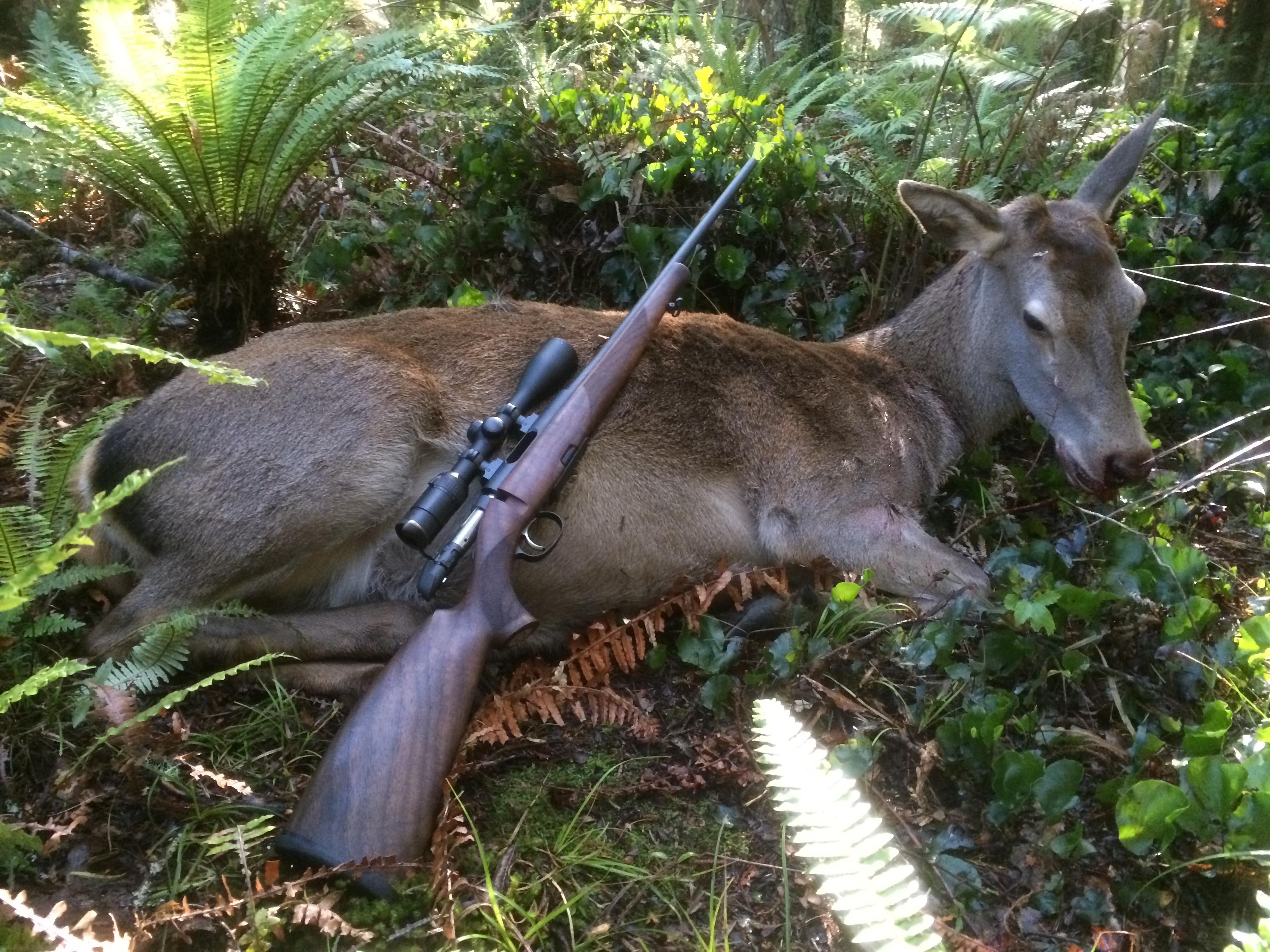 NZ Hunting and Shooting Forums