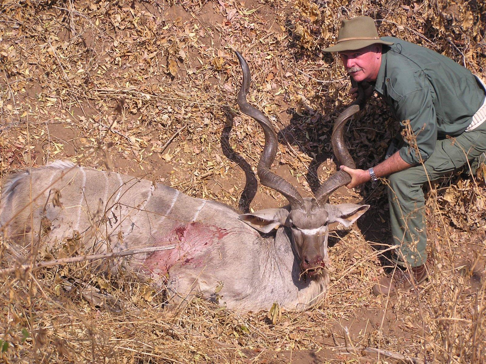 African Buffalo Hunt 076.jpg