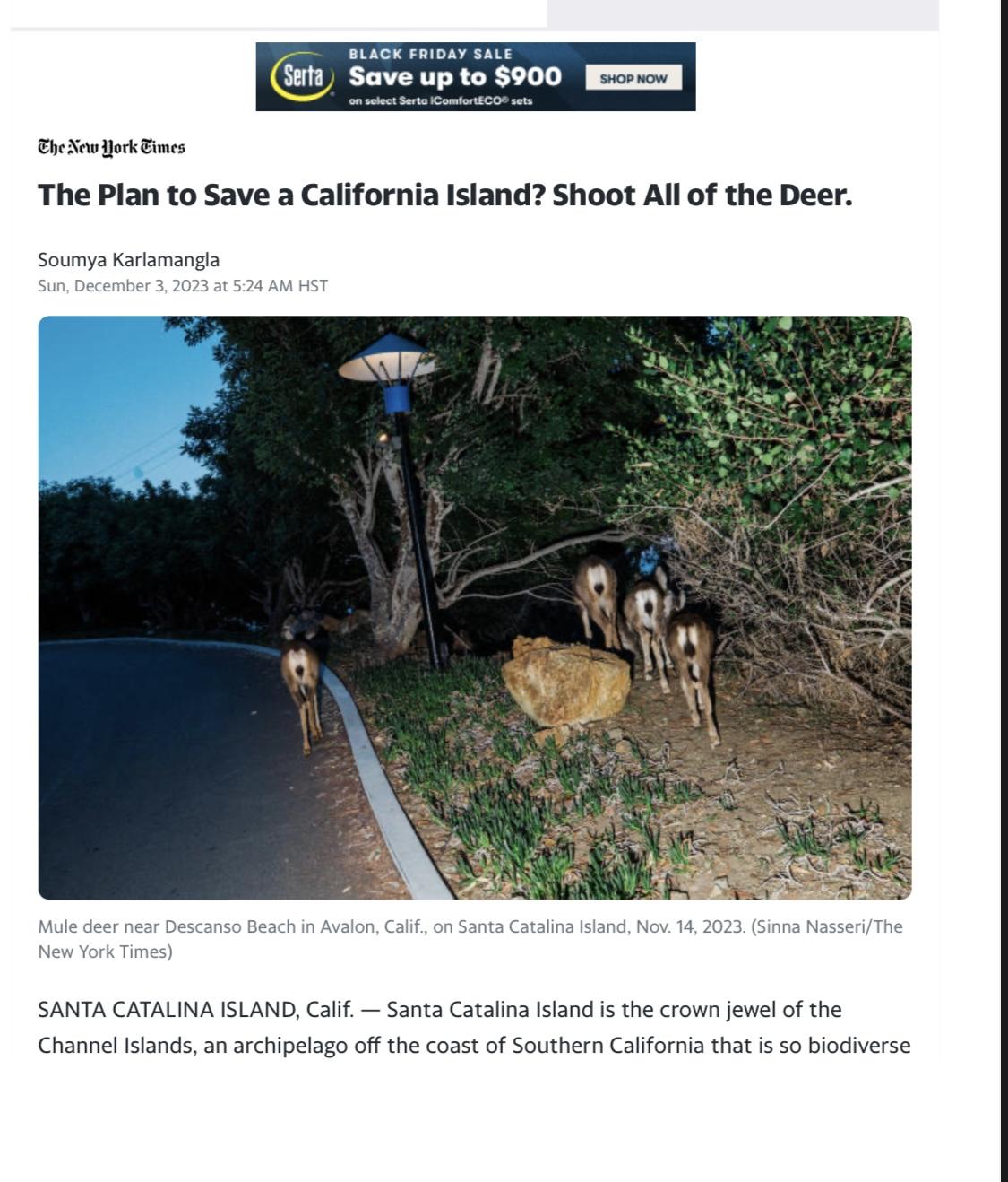 Is slaughtering Catalina Island's deer the only option? - Los Angeles Times