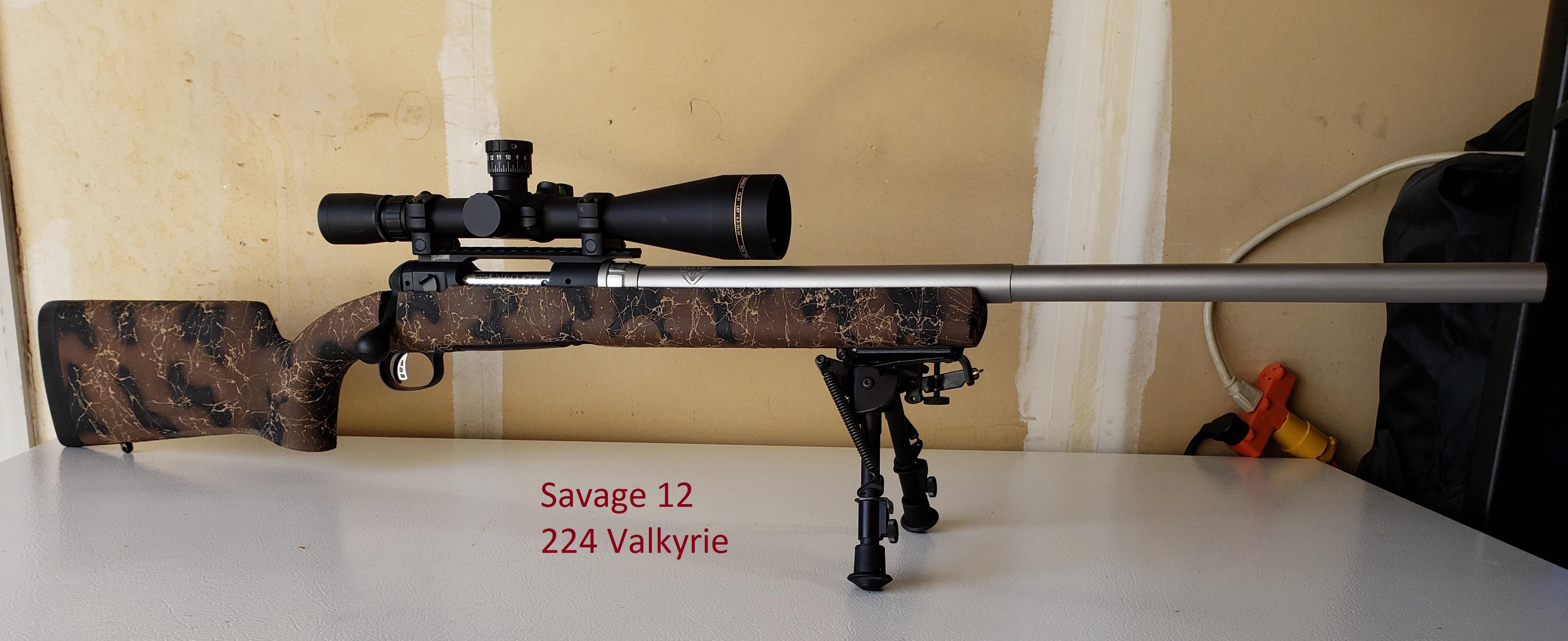 My Savage 224 Valkyrie 3.jpg