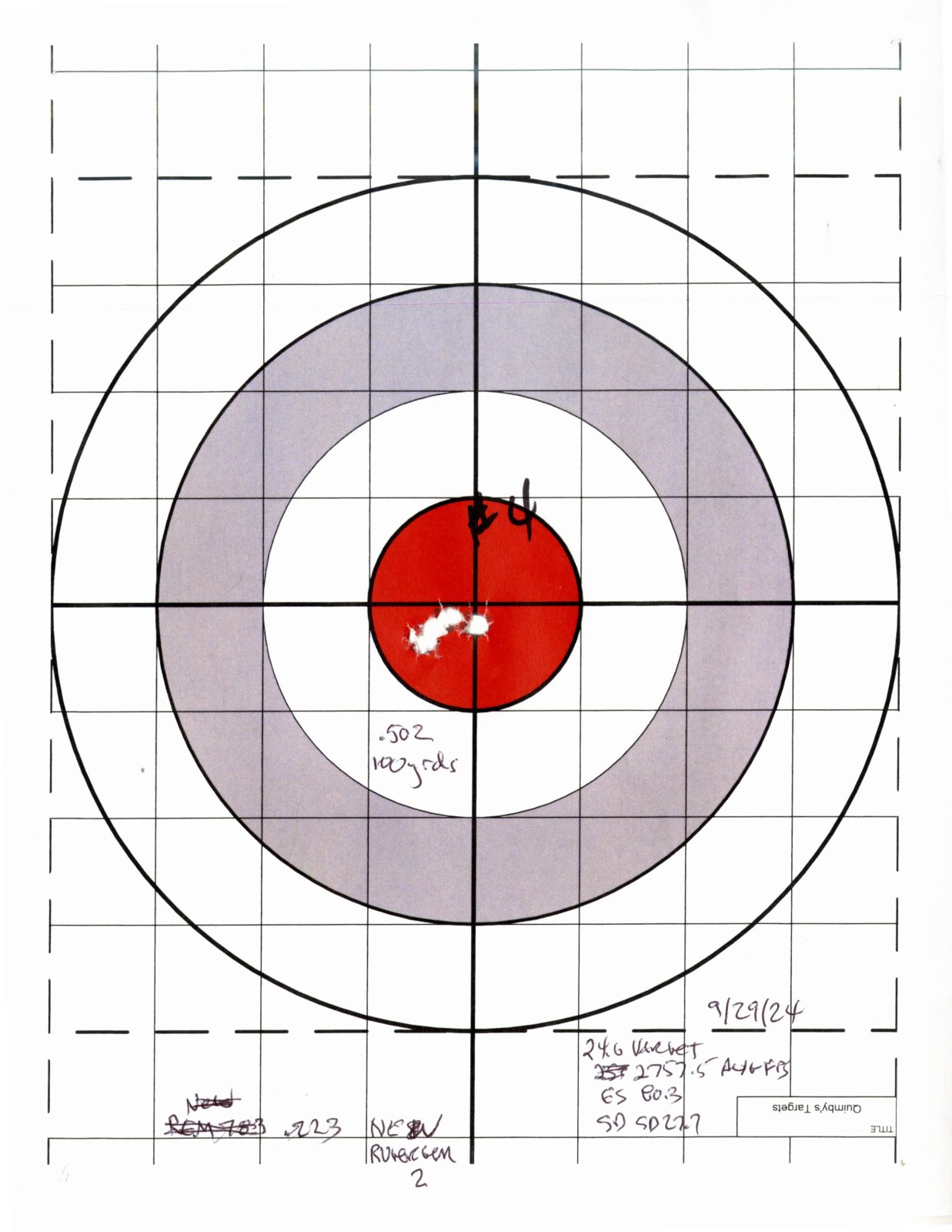 Ruger Gen II .223 First Powder Test.jpg